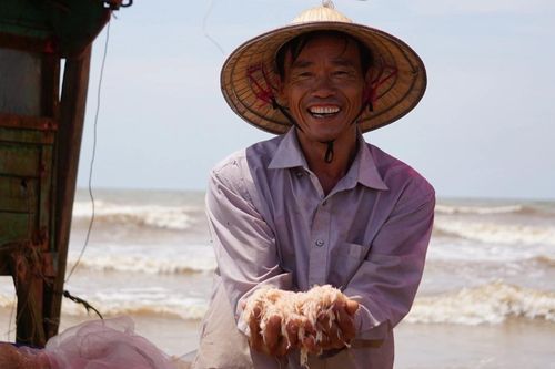 Ngư dân kiếm tiền triệu mỗi ngày từ đánh bắt moi biển