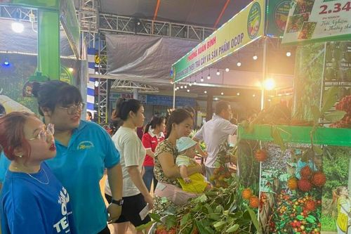 Lễ hội hấp dẫn ở thủ phủ trái cây Đồng Nai, du khách được ăn chôm chôm miễn phí