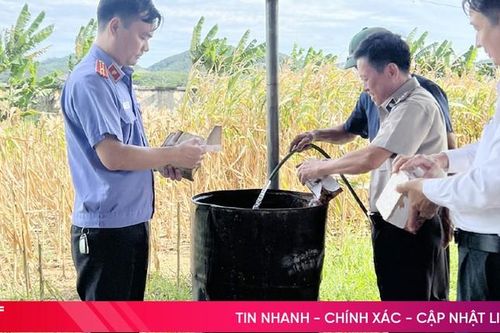 Hương Sơn tiêu hủy hơn 70 kg pháo lậu và tang vật các vụ án