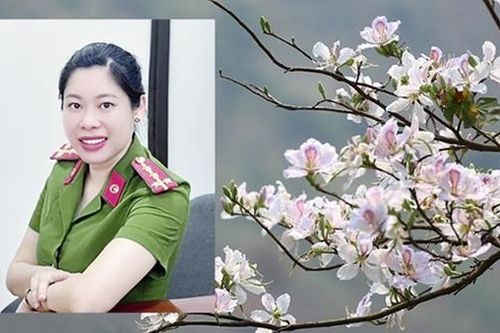 Bông hoa trên giảng đường