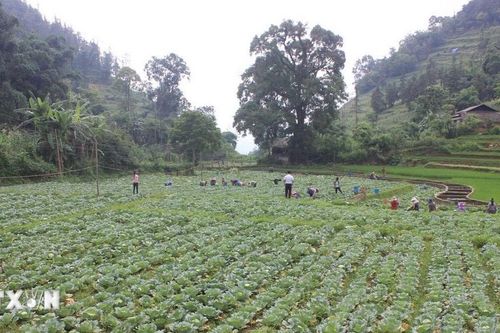 Đề nghị thu hồi quyết định công nhận một số điểm du lịch trên địa bàn Lào Cai