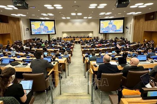 Việt Nam đề cao giá trị UNCLOS, thúc đẩy hợp tác về biển và đại dương
