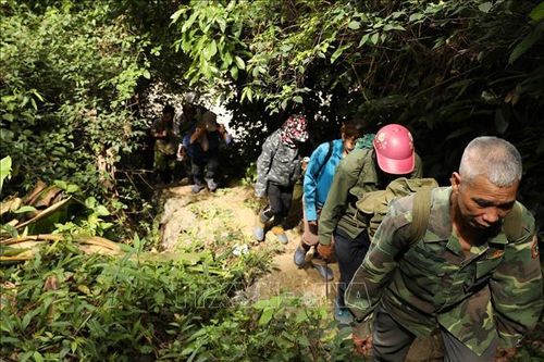 Ninh Bình: Nỗ lực tìm kiếm người đàn ông bị mất tích khi đi rừng