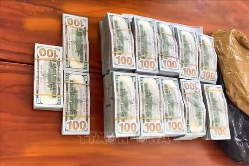 Bắt quả tang đối tượng vận chuyển trái phép hơn 530.000 USD qua biên giới