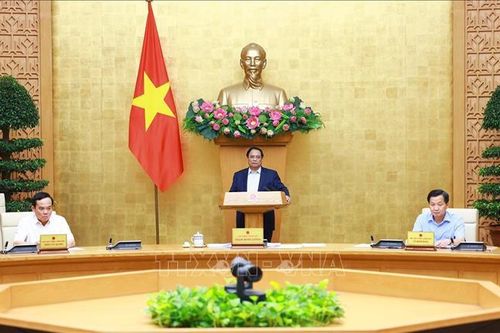 Thủ tướng Chính phủ phân công nhiệm vụ các Phó Thủ tướng