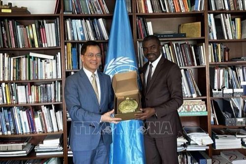 Việt Nam tăng cường hợp tác song phương với UNESCO và các quốc gia thành viên