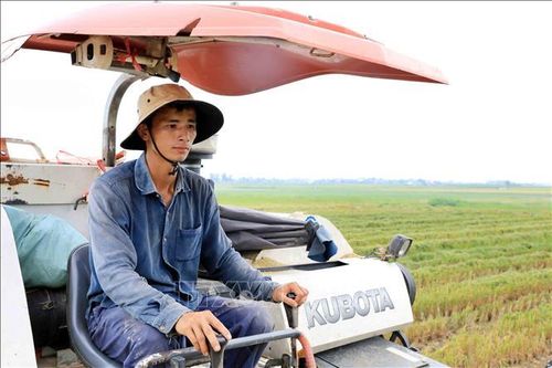 Đại điền 9X nuôi khát vọng làm giàu từ nông nghiệp