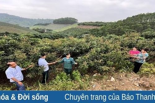 Chuyển đổi cơ cấu cây trồng, vật nuôi mang lại hiệu quả kinh tế cao