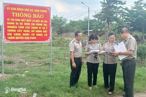 Vụ án liên quan Công ty CP Địa ốc Alibaba: Gỡ vướng, đẩy nhanh tiến độ xử lý tài sản