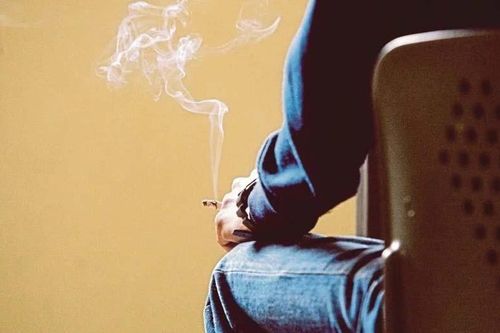 WHO cáo buộc 4 ngành công nghiệp khiến 2,7 triệu người tử vong mỗi năm ở châu Âu