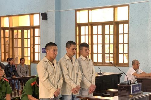 Mâu thuẫn đánh nhau trong cuộc nhậu, 4 bị cáo lĩnh án