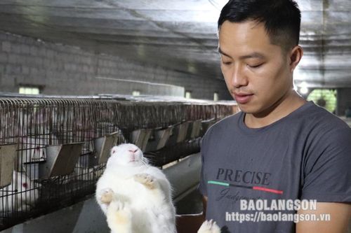 Hội viên nông dân năng động phát triển kinh tế