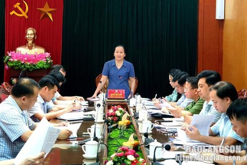 Giám sát công tác chuyển đổi số đối với Sở Thông tin và Truyền thông và các doanh nghiệp kinh doanh viễn thông, chuyển đổi số