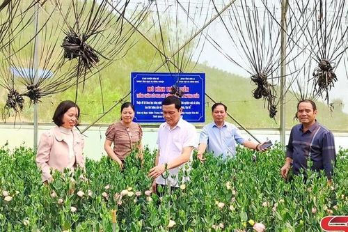 Triển vọng từ một đề tài nghiên cứu khoa học