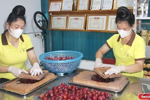 Đẩy mạnh chế biến sản phẩm trái cây đặc trưng