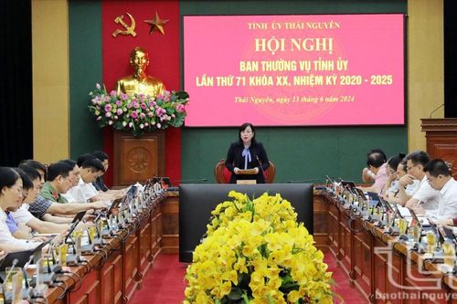 Ban Thường vụ Tỉnh ủy cho ý kiến vào nhiều nội dung
