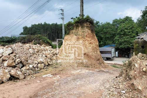 Ngăn chặn 'đất tặc' ở Bình Sơn: Khi cung, cầu đều lớn