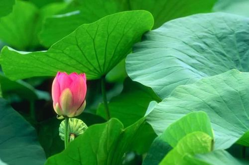 Thắc mắc về nhân quả