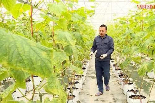 Những 'tỷ phú nông dân' truyền cảm hứng làm giàu ở xứ Kinh Bắc
