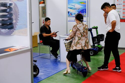 Hà Nội: Trải nghiệm thế giới xe điện tại Vietnam AutoExpo