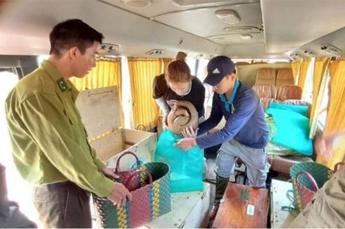 Tái thả thành công 21 cá thể động vật hoang dã quý hiếm về tự nhiên