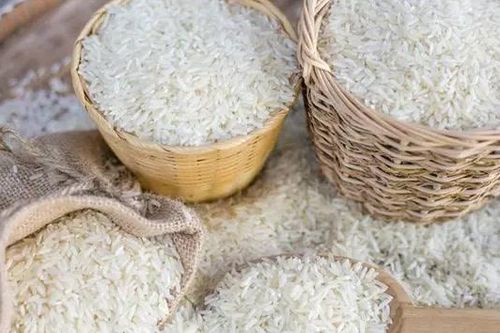 Tin vui mới cho lúa gạo Việt Nam