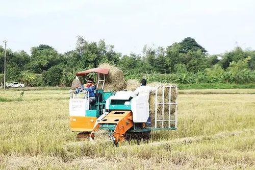 Dự án xử lý rơm rạ giảm thiểu ô nhiễm môi trường