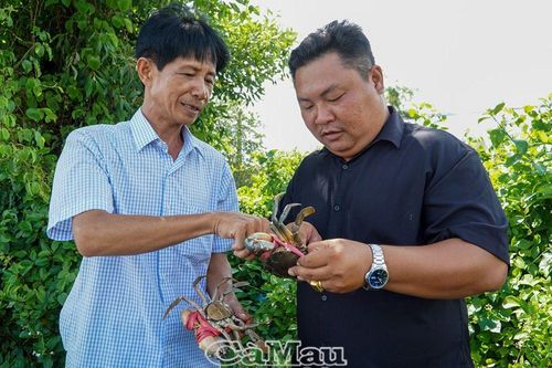Cua Năm Căn phải thắng ngay trên 'sân nhà'