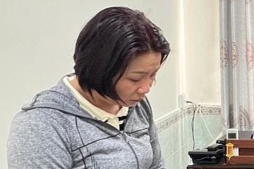 Bắt nữ đối tượng môi giới mua bán đất để chiếm đoạt 2 tỷ đồng