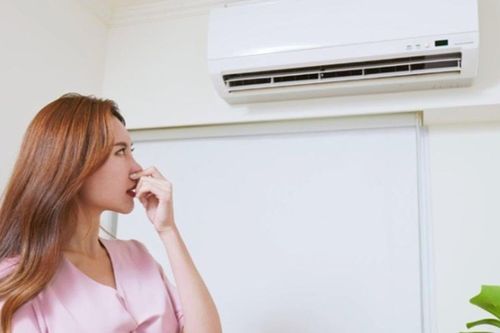 Điều hòa bị hôi là do đâu?