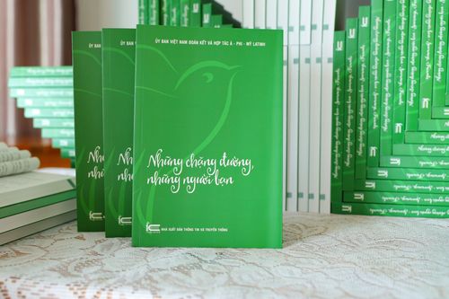 Chuyện kể từ Á - Phi - Mỹ Latinh: Bắt cóc con tin cứu anh hùng Việt Nam