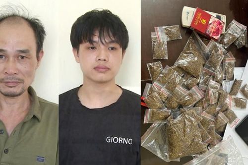 Cặp đôi già trẻ bán ma túy dạng thực vật