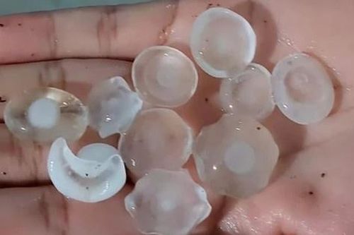 TP.HCM xuất hiện mưa đá