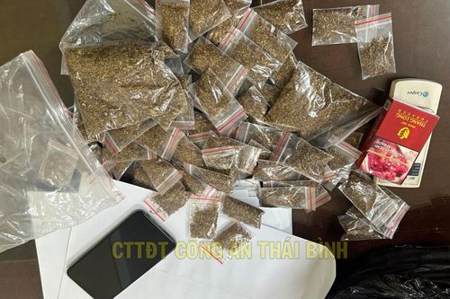 Thái Bình: thu giữ lượng lớn ma túy mới, gây ảo giác mạnh