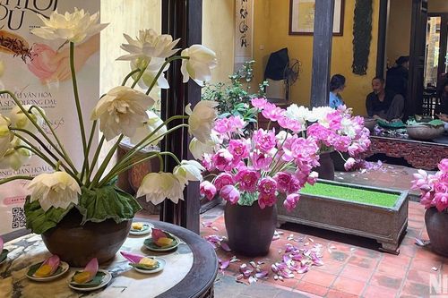 Tinh hoa trà Việt - Hương sen lối cũ