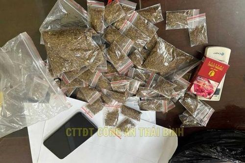Khởi tố vụ án mua bán trái phép ma túy dạng thực vật ở Thái Bình