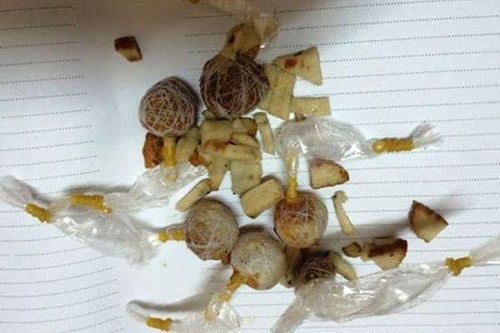 Trẻ 22 tháng tuổi ăn nhầm bả chó