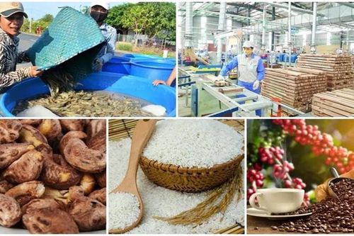 Doanh nghiệp kinh doanh các mặt hàng nông sản cần lưu ý gì khi lập hóa đơn?