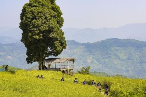 Phiêng Phàng (Bắc Kạn) - Điểm hẹn vùng cao