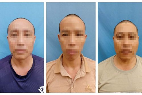 Bắt 3 đối tượng chuyên hành nghề trộm chó