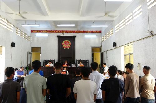 Nhiều cựu cán bộ hầu tòa liên quan vụ phá hơn 400ha rừng