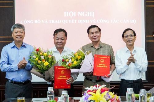 Điều động, bổ nhiệm nhân sự mới ở TP HCM và loạt tỉnh thành