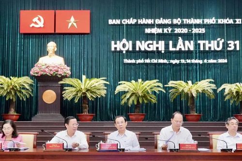 TP Hồ Chí Minh: Chuyển đổi số đạt kết quả tích cực nhưng còn nhiều khó khăn