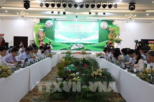 Ứng phó linh hoạt với hạn mặn, sạt lở ở ĐBSCL