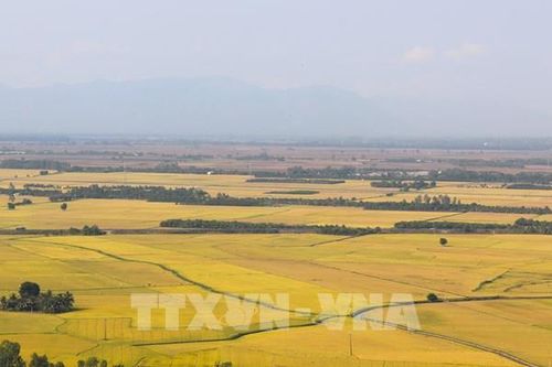 Bàn cách cải thiện 'sức khỏe' cho đất trồng trọt