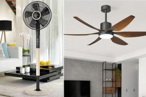 Quạt trần hay quạt cây nên dùng loại nào để tiết kiệm điện?
