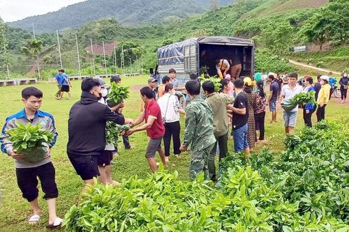 Trao tặng 33.000 cây xanh cho nhân dân xã Chà Nưa
