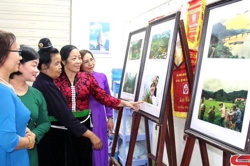 Bế mạc trại sáng tác tổng hợp các chuyên ngành văn học – nghệ thuật