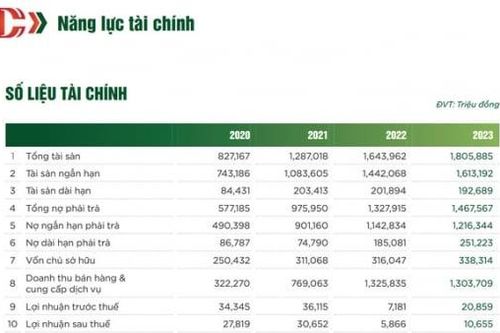 Công ty CP Chương Dương năng lực tài chính hiện như thế nào?