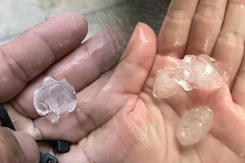 Nhiều người dân TP.Hồ Chí Minh lấy làm lạ khi lần đầu tiên được thấy mưa đá